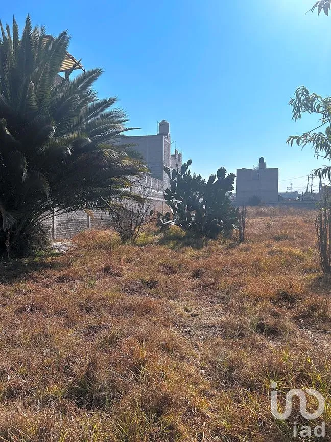 Terreno en Venta en Santa Rosa, Chicoloapan, México | NEX-287781 | iad México | Foto 7 de 7