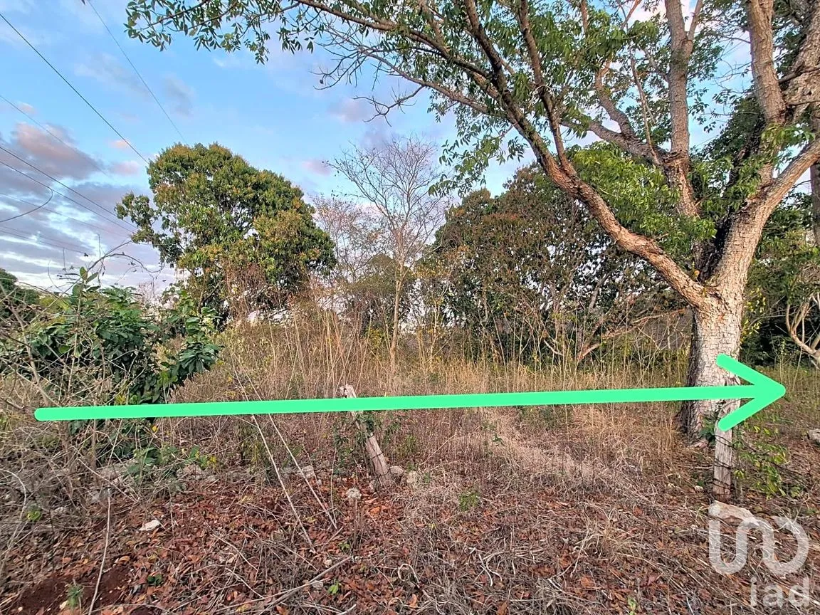 Terreno en Venta en San Pedro, Tenabo, Campeche | NEX-294151 | iad México | Foto 2 de 7