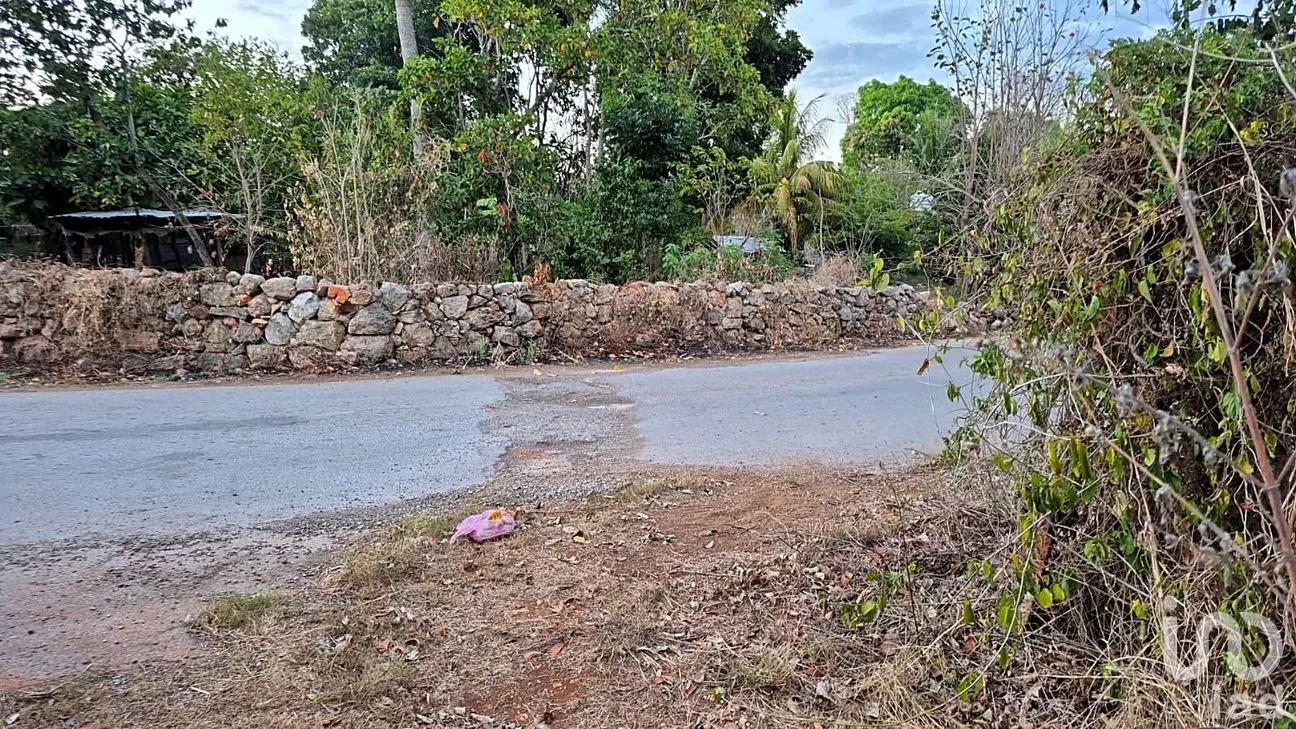Terreno en Venta en San Pedro, Tenabo, Campeche | NEX-294151 | iad México | Foto 3 de 7