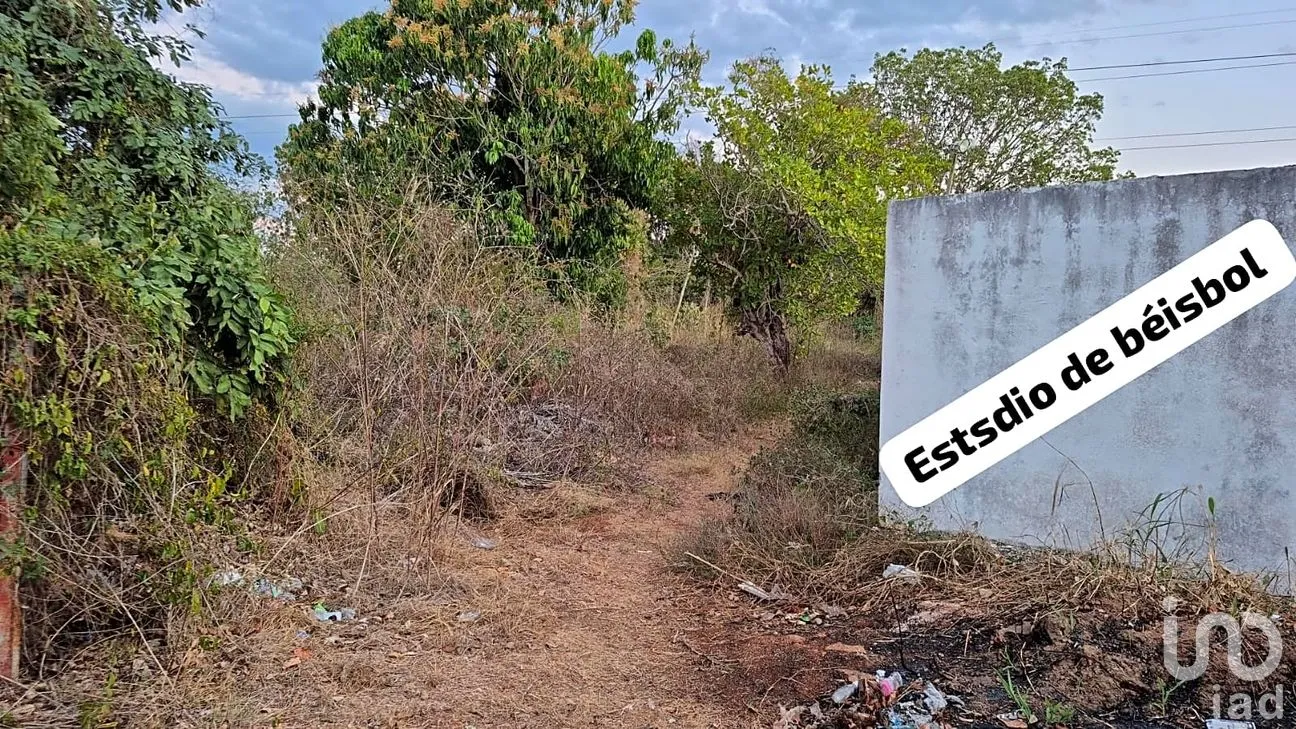 Terreno en Venta en San Pedro, Tenabo, Campeche | NEX-294151 | iad México | Foto 4 de 7