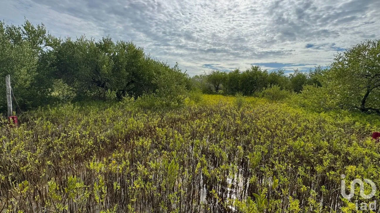 Terreno en Venta en Isla de Holbox, Lázaro Cárdenas, Quintana Roo | NEX-304843 | iad México | Foto 7 de 7