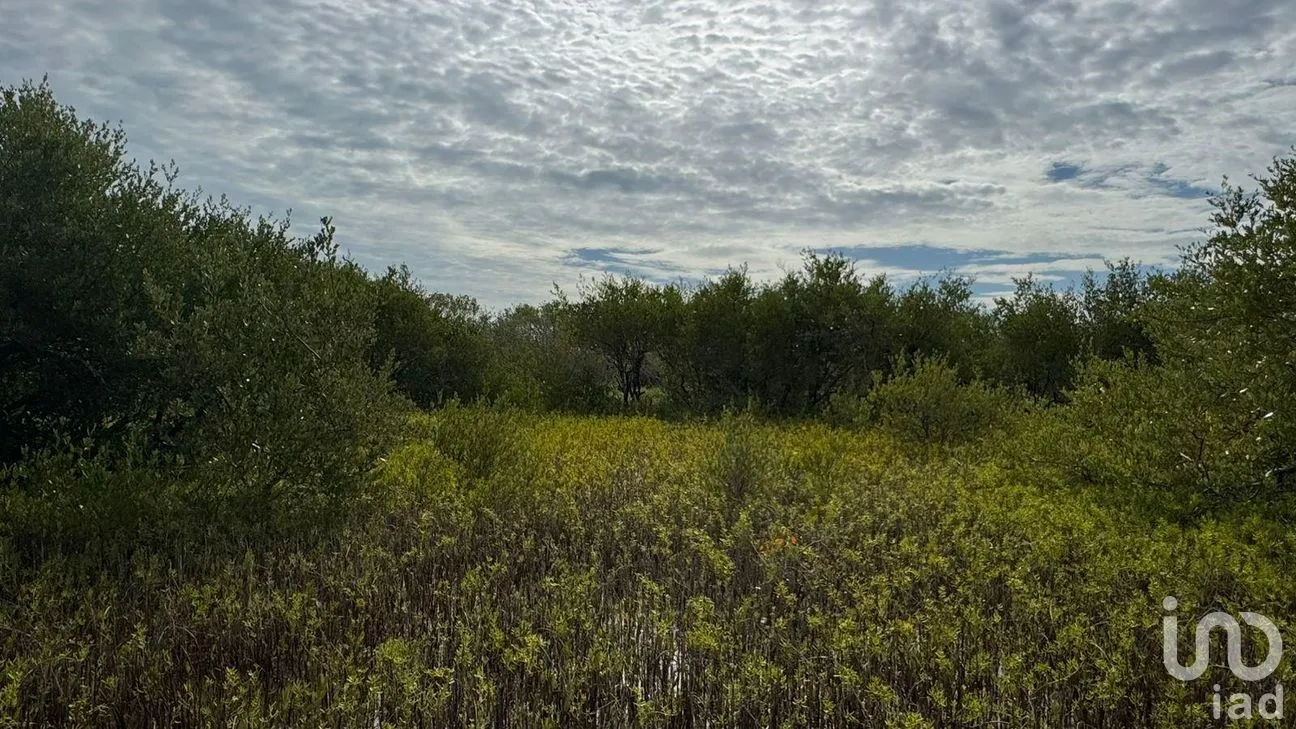 Terreno en Venta en Isla de Holbox, Lázaro Cárdenas, Quintana Roo | NEX-304900 | iad México | Foto 9 de 10