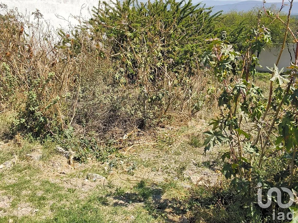 Terreno en Venta en Zibatá, El Marqués, Querétaro | NEX-296715 | iad México | Foto 8 de 14