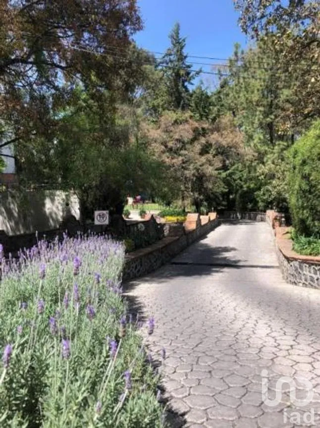Departamento en Venta en Jesús del Monte, Cuajimalpa de Morelos, Ciudad de México | NEX-290903 | iad México | Foto 8 de 19