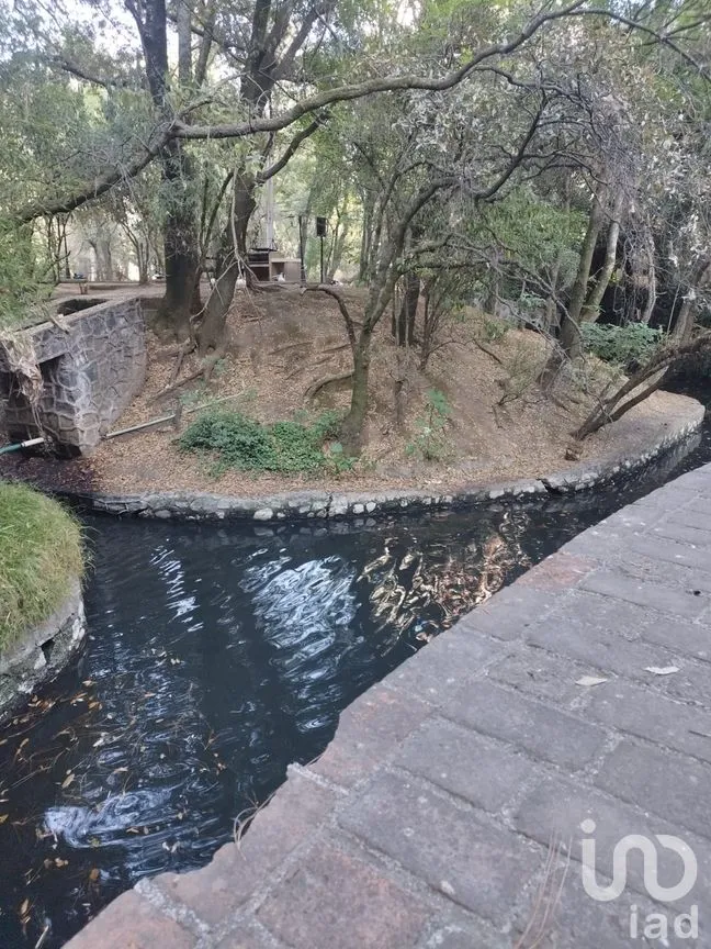 Departamento en Venta en Jesús del Monte, Cuajimalpa de Morelos, Ciudad de México | NEX-290903 | iad México | Foto 9 de 19