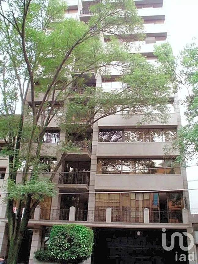 Departamento en Renta en Polanco IV Sección, Miguel Hidalgo, Ciudad de México | NEX-293237 | iad México | Foto 7 de 13