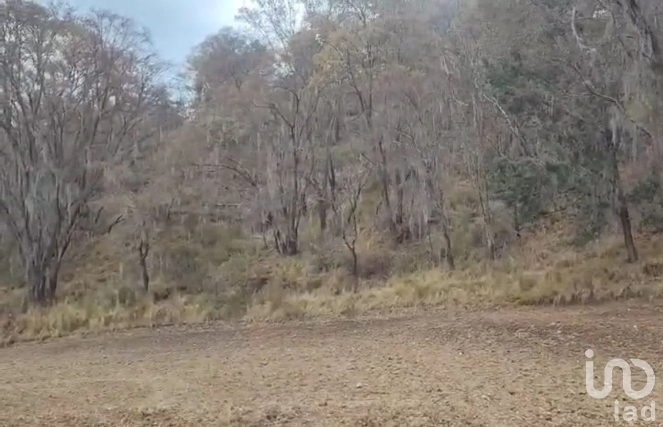 Terreno en Venta en Miguel Lira y Ortega, Nanacamilpa de Mariano Arista, Tlaxcala | NEX-295856 | iad México | Foto 3 de 7