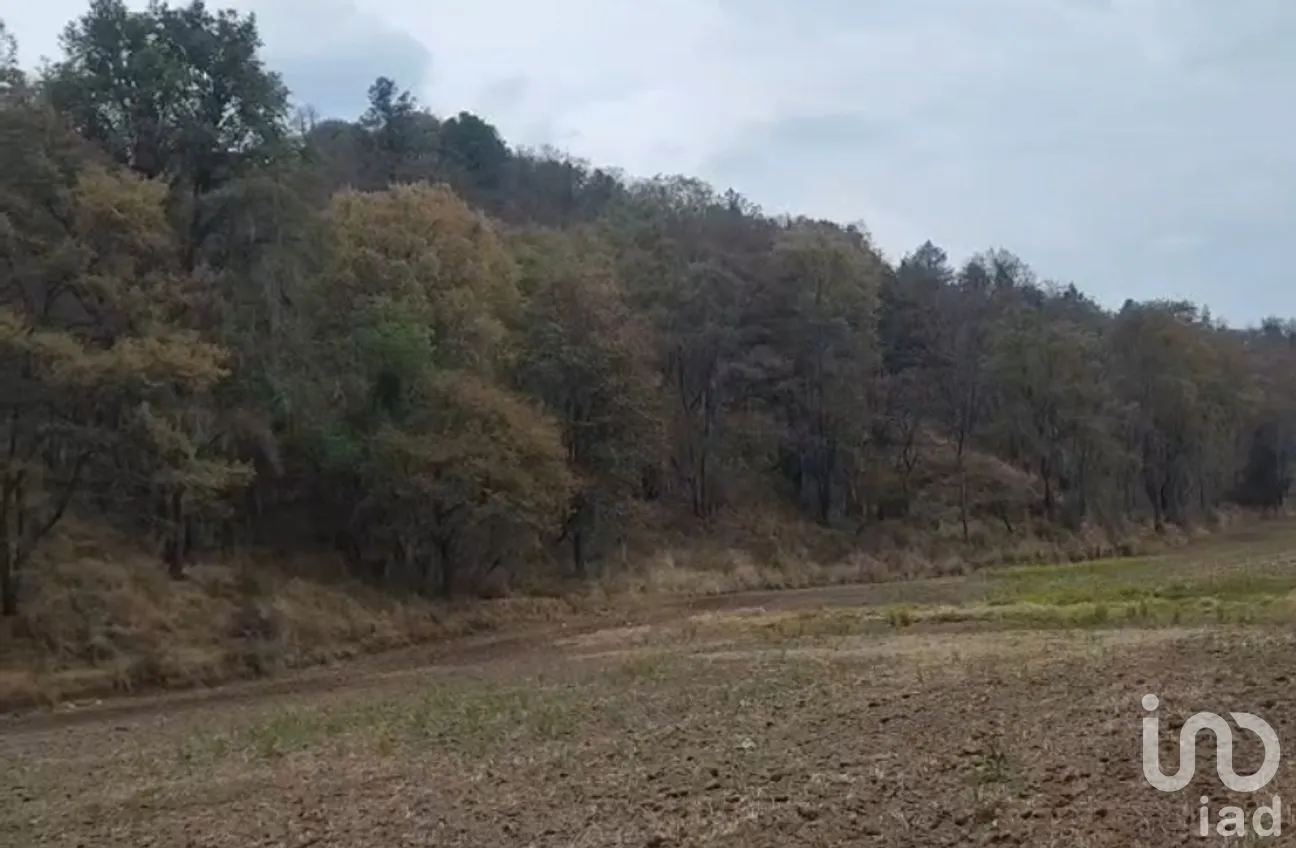 Terreno en Venta en Miguel Lira y Ortega, Nanacamilpa de Mariano Arista, Tlaxcala | NEX-295856 | iad México | Foto 5 de 7