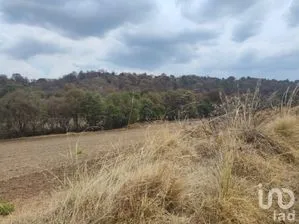 NEX-295856 - Terreno en Venta en Miguel Lira y Ortega, CP 90288, Tlaxcala.