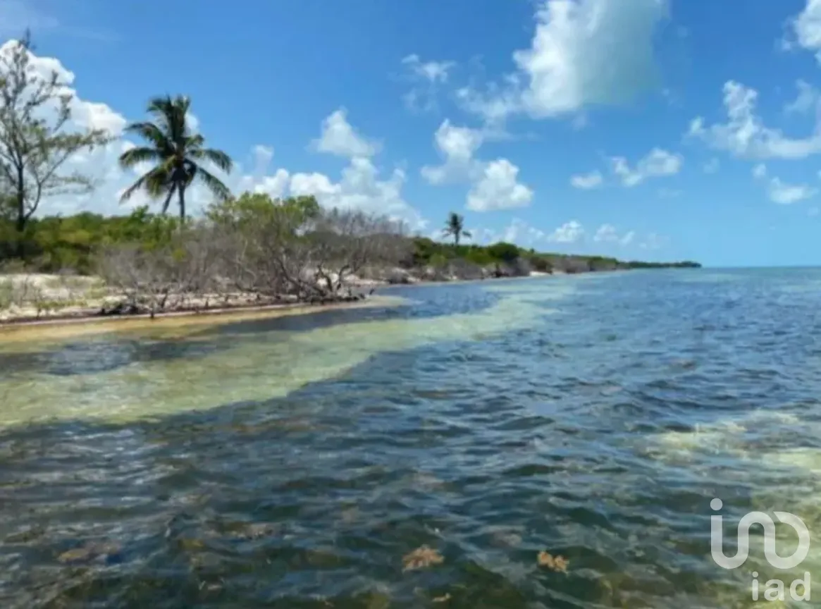 Terreno en Venta en Isla Blanca, Isla Mujeres, Quintana Roo | NEX-294802 | iad México | Foto 1 de 9