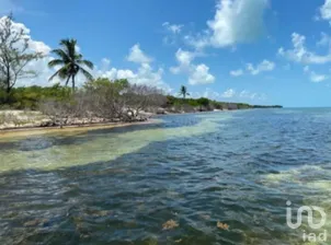 NEX-294802 - Terreno en Venta, con 10847446 m2 de construcción en Isla Blanca, CP 77400, Quintana Roo.