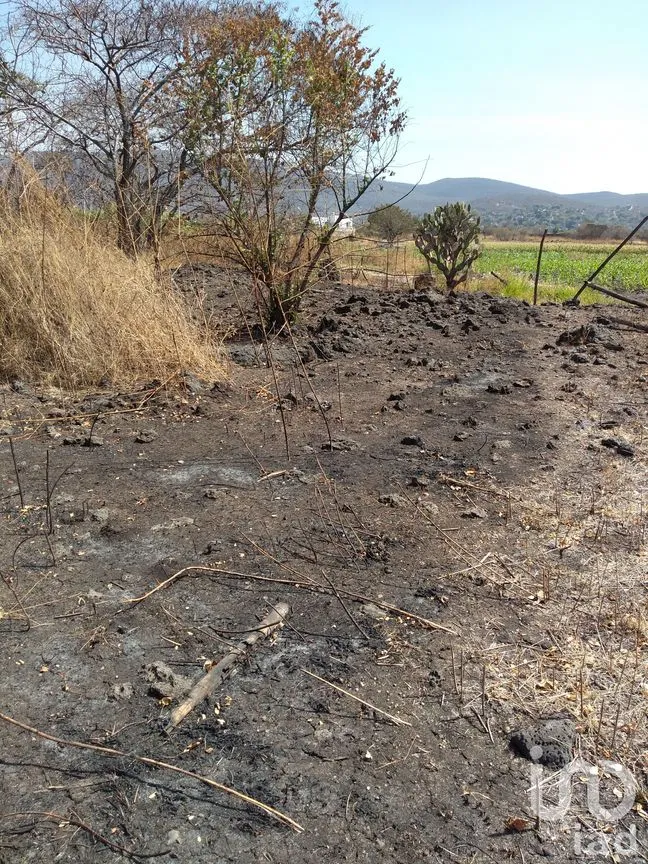 Terreno en Venta en Tetecalita, Emiliano Zapata, Morelos | NEX-27003 | iad México | Foto 1 de 2