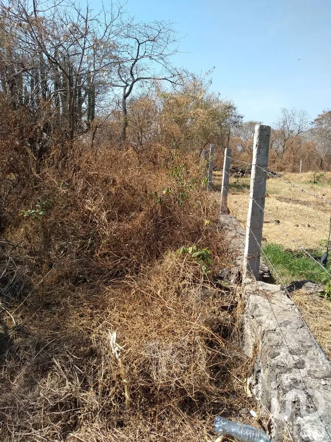 Terreno en Venta en Tetecalita, Emiliano Zapata, Morelos | NEX-27003 | iad México | Foto 2 de 2