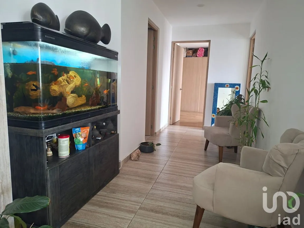 Departamento en Renta en Acacias, Benito Juárez, Ciudad de México | NEX-299630 | iad México | Foto 4 de 19