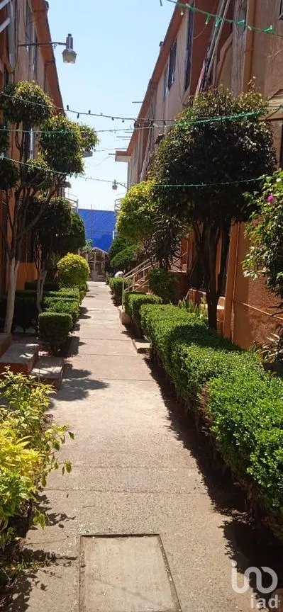 Departamento en Venta en Puerta Grande, Álvaro Obregón, Ciudad de México | NEX-169826 | iad México | Foto 2 de 16