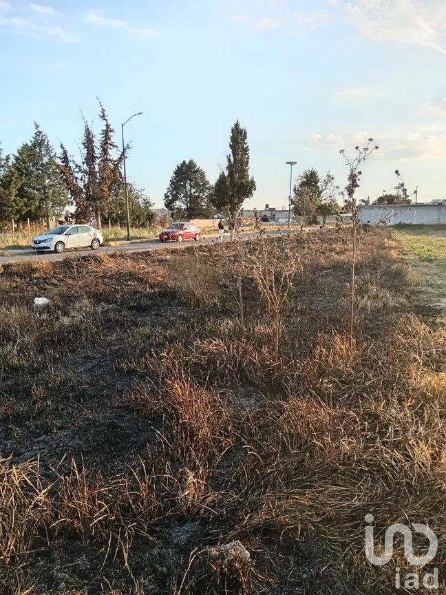 Terreno en Venta en San Esteban Tizatlán, Tlaxcala, Tlaxcala | NEX-244928 | iad México | Foto 7 de 8