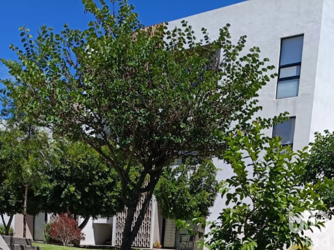 Departamento en Renta en San Isidro, Querétaro, Querétaro | NEX-306871 | iad México | Foto 11 de 13
