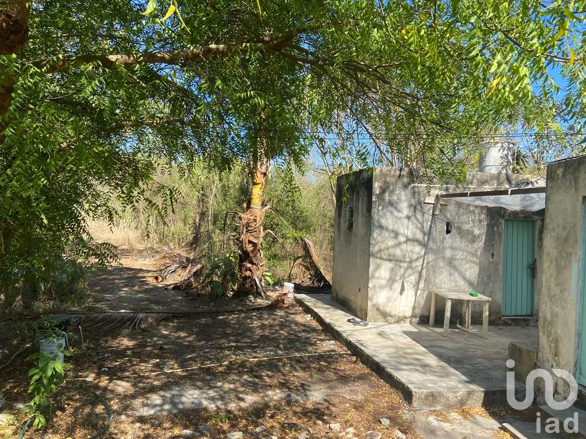 Terreno en Venta en Conkal, Conkal, Yucatán | NEX-300743 | iad México | Foto 6 de 8
