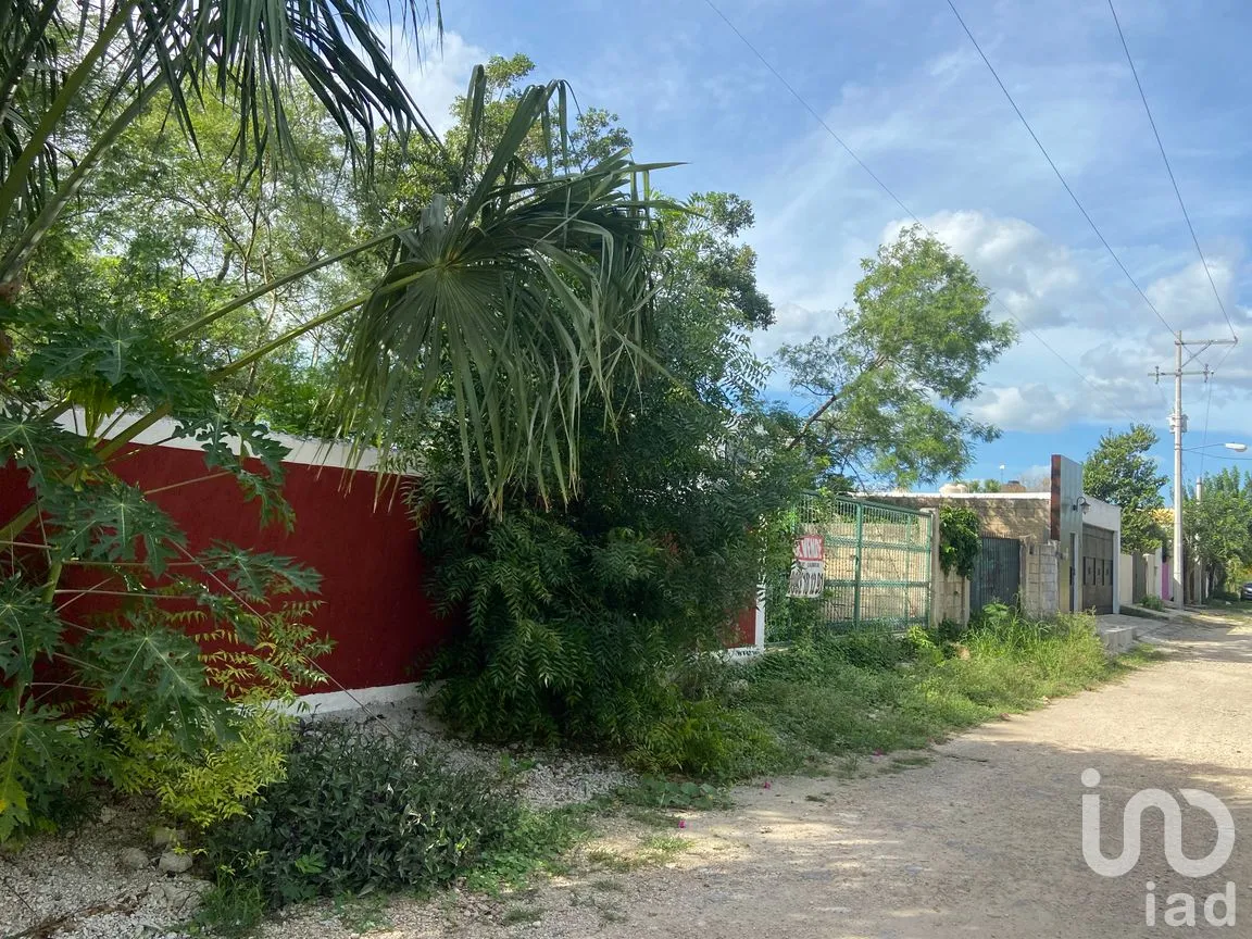 Terreno en Venta en Conkal, Conkal, Yucatán | NEX-302524 | iad México | Foto 3 de 12