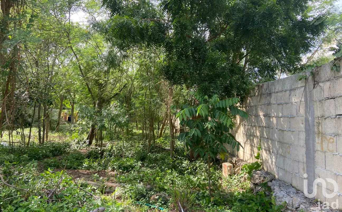Terreno en Venta en Conkal, Conkal, Yucatán | NEX-302524 | iad México | Foto 5 de 12