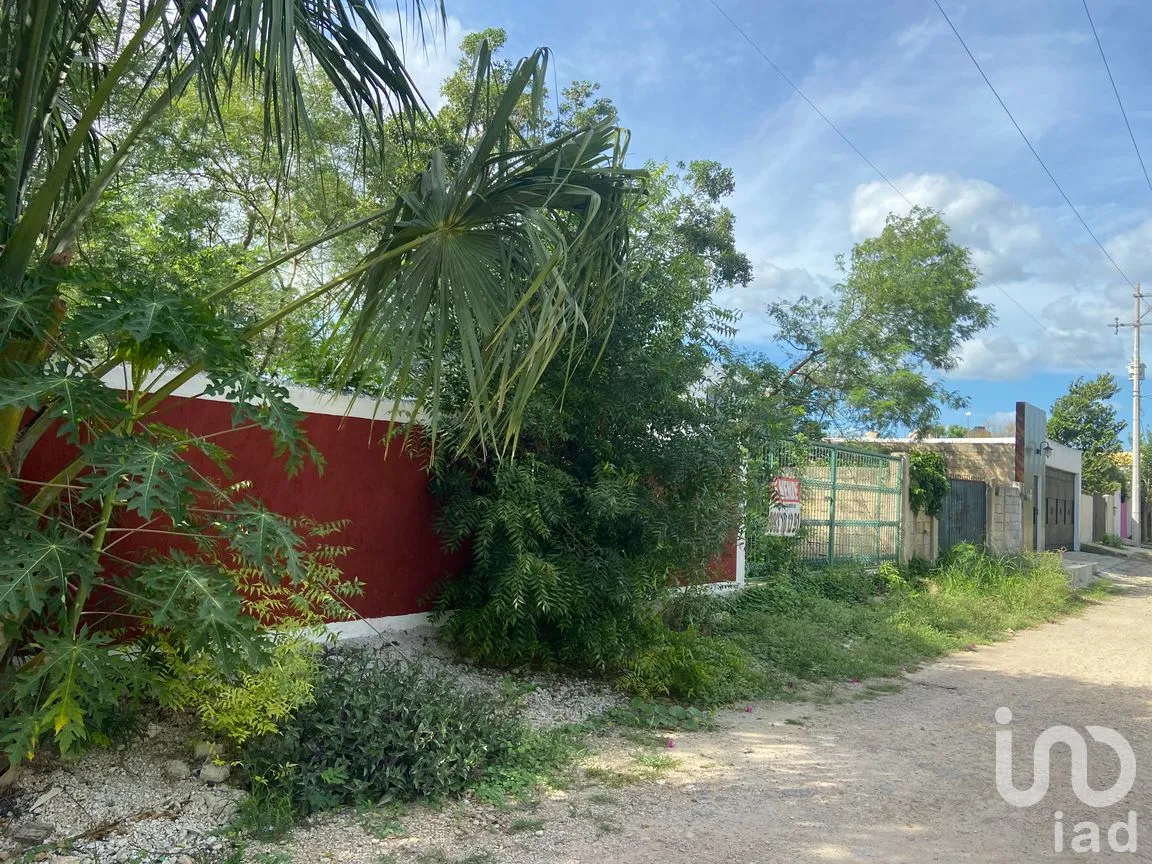 Terreno en Venta en Conkal, Conkal, Yucatán | NEX-302524 | iad México | Foto 6 de 12