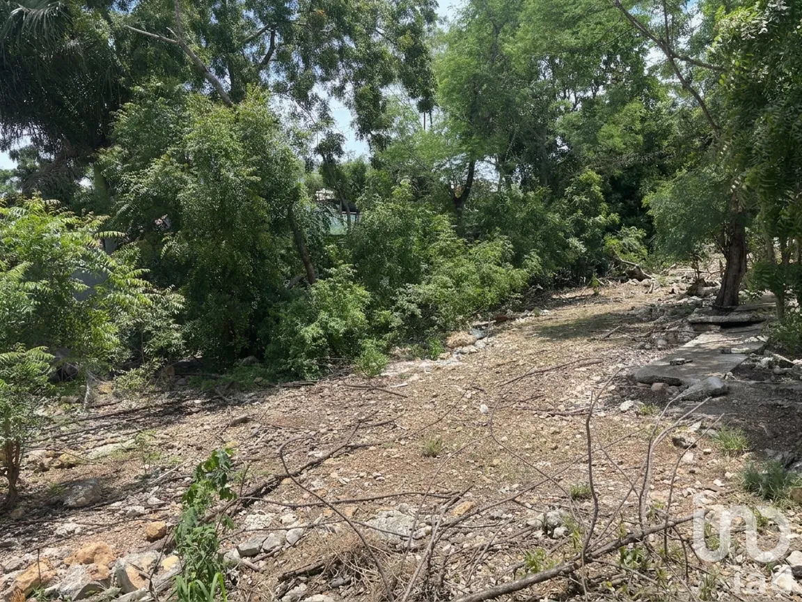 Terreno en Venta en Conkal, Conkal, Yucatán | NEX-302524 | iad México | Foto 7 de 12