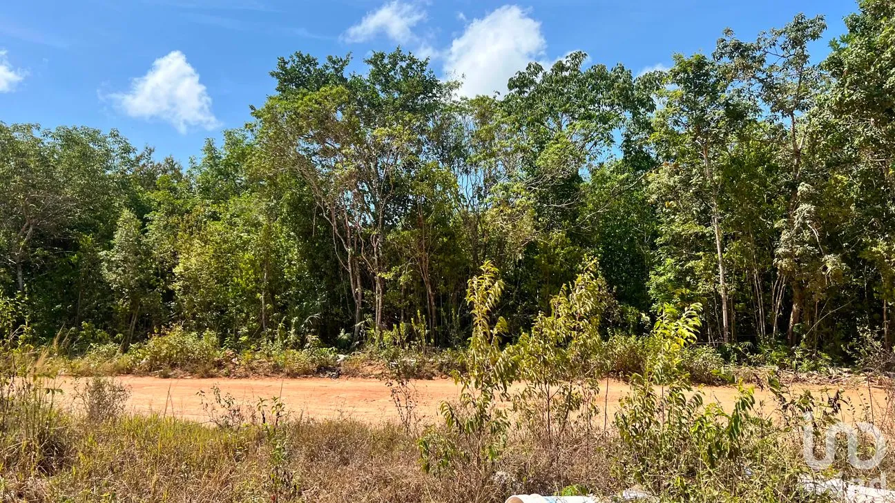 Terreno en Venta en Alfredo V Bonfil, Benito Juárez, Quintana Roo | NEX-305696 | iad México | Foto 2 de 7