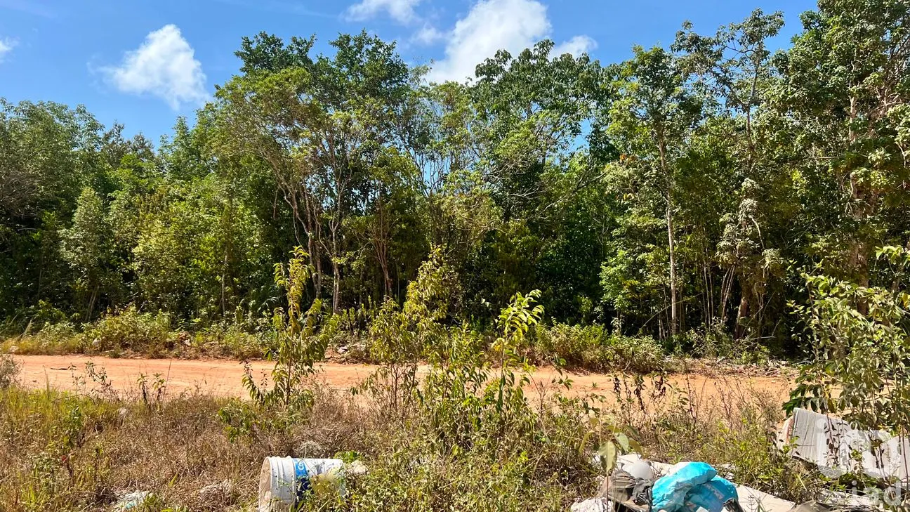 Terreno en Venta en Alfredo V Bonfil, Benito Juárez, Quintana Roo | NEX-305696 | iad México | Foto 3 de 7