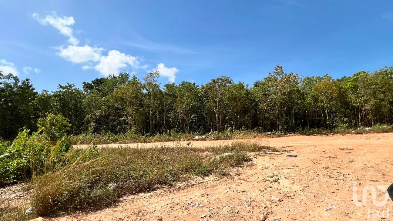 Terreno en Venta en Alfredo V Bonfil, Benito Juárez, Quintana Roo | NEX-305696 | iad México | Foto 7 de 7