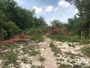 NEX-12963 - Terreno en Venta, con 1600 m2 de construcción en Cancún (Internacional de Cancún), CP 77569, Quintana Roo.