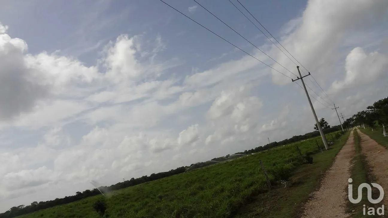 Rancho en Venta en Tizimin Centro, Tizimín, Yucatán | NEX-176305 | iad México | Foto 21 de 32