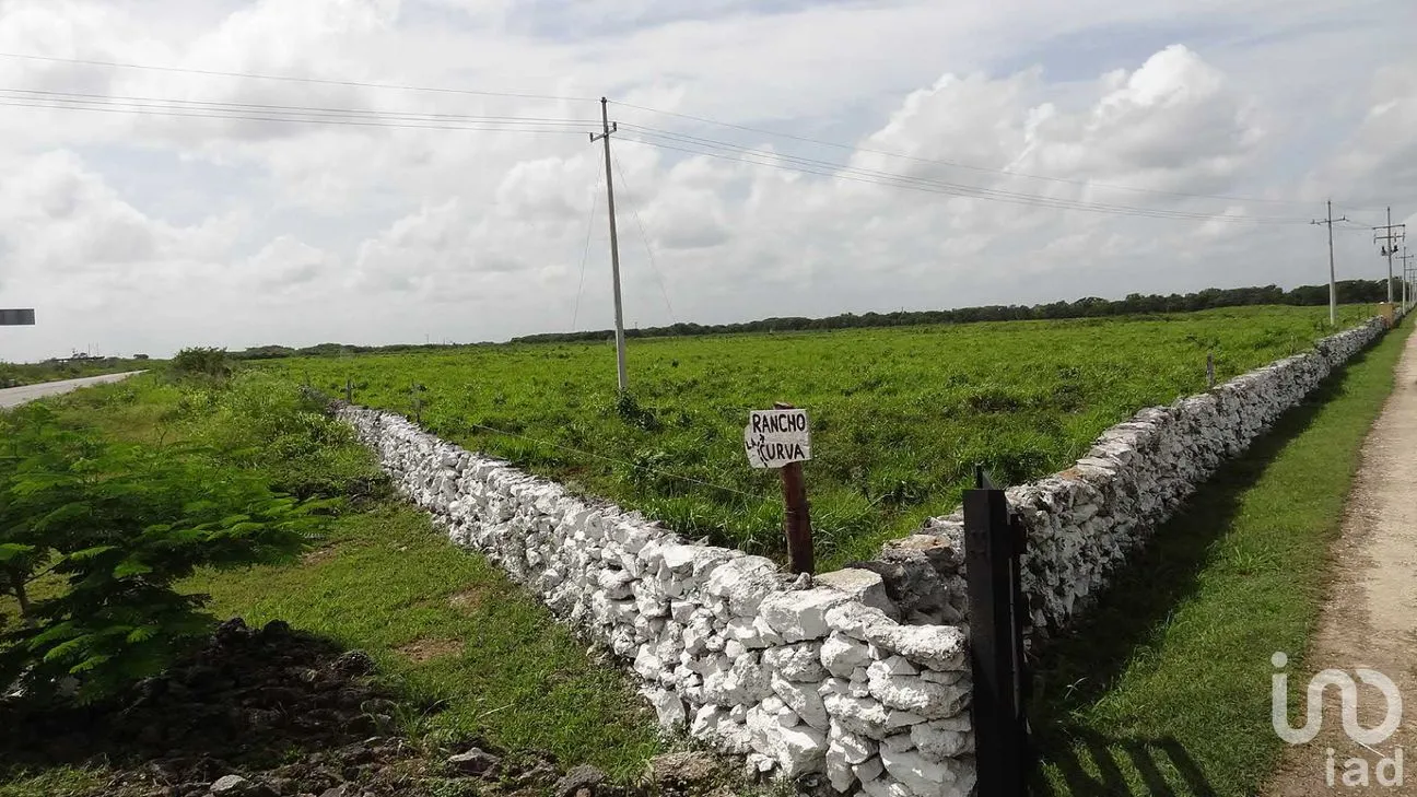 Rancho en Venta en Tizimin Centro, Tizimín, Yucatán | NEX-176305 | iad México | Foto 24 de 32