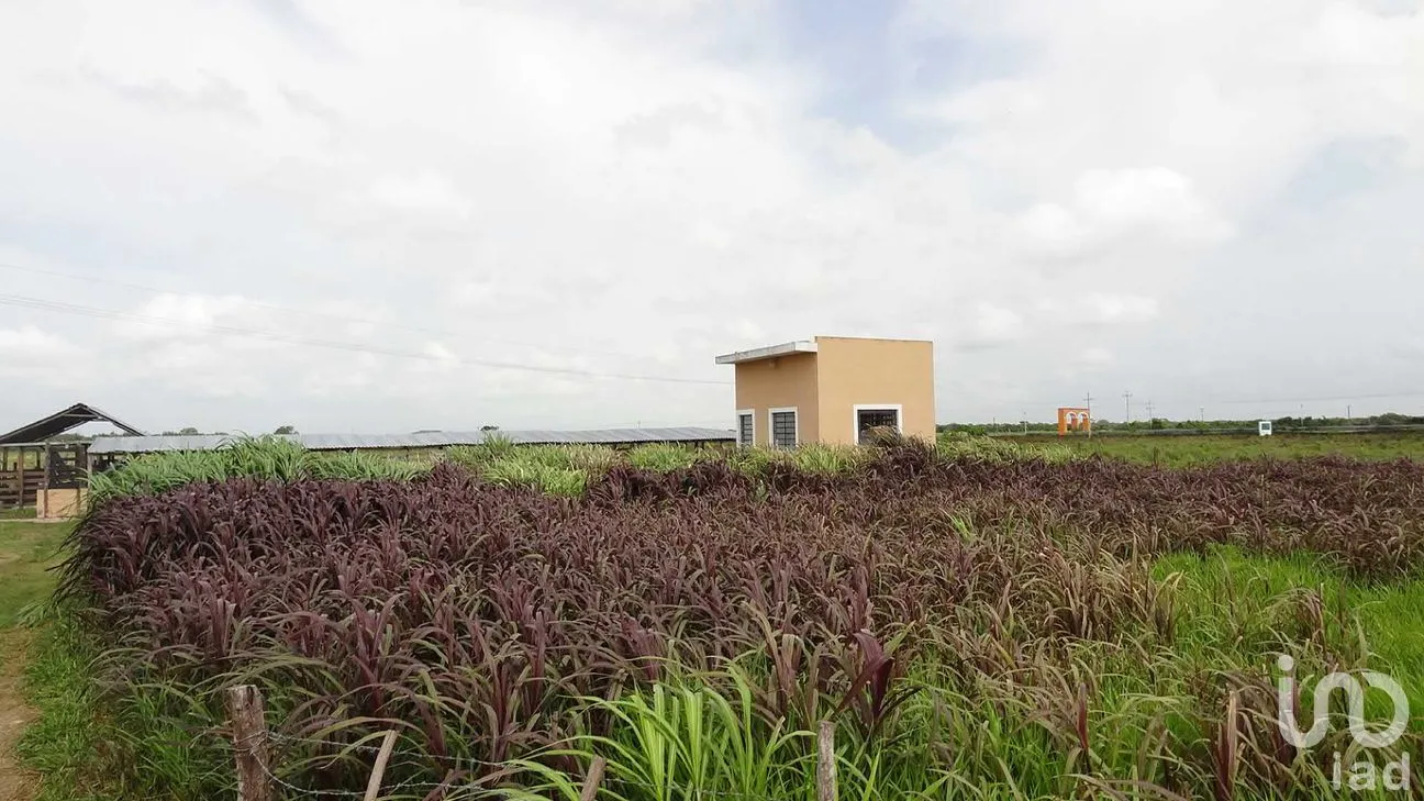 Rancho en Venta en Tizimin Centro, Tizimín, Yucatán | NEX-176305 | iad México | Foto 27 de 32