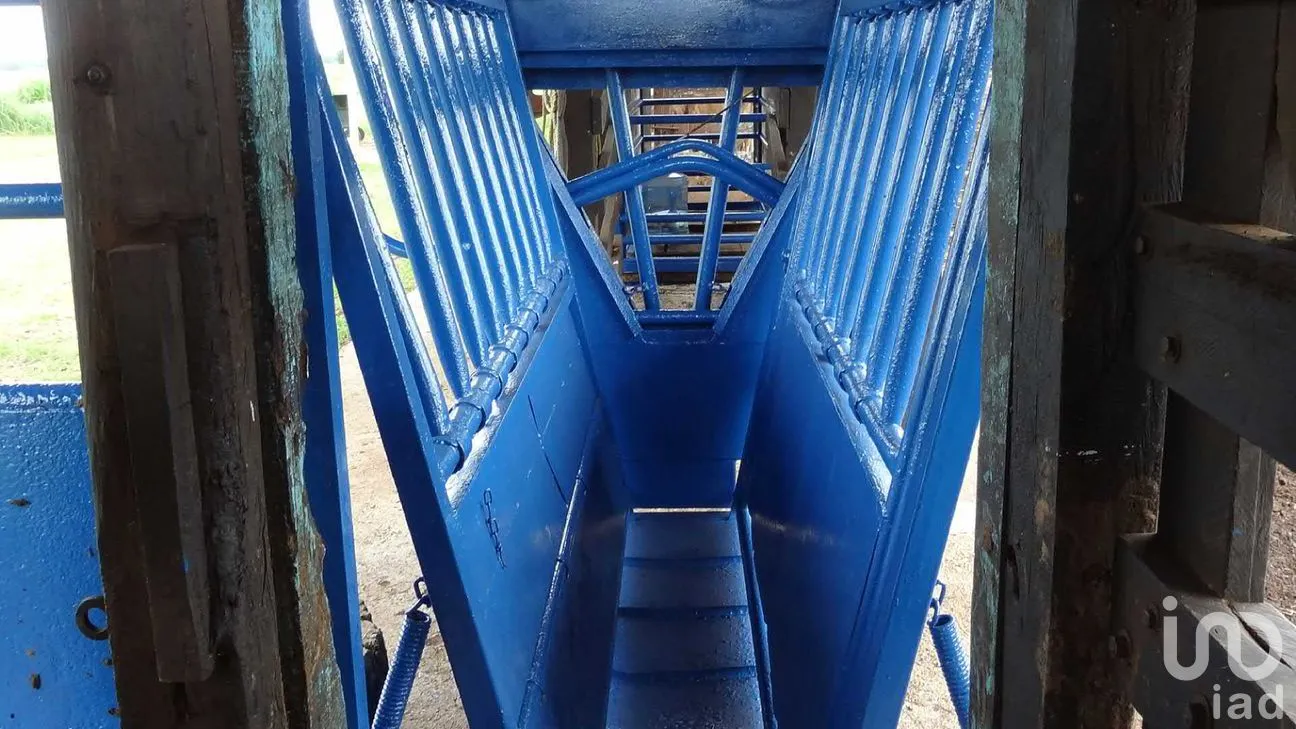 Rancho en Venta en Tizimin Centro, Tizimín, Yucatán | NEX-176305 | iad México | Foto 29 de 32