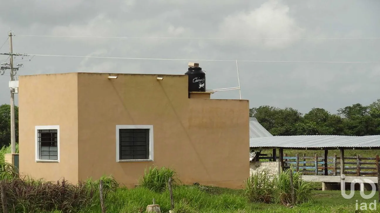 Rancho en Venta en Tizimin Centro, Tizimín, Yucatán | NEX-176305 | iad México | Foto 26 de 32