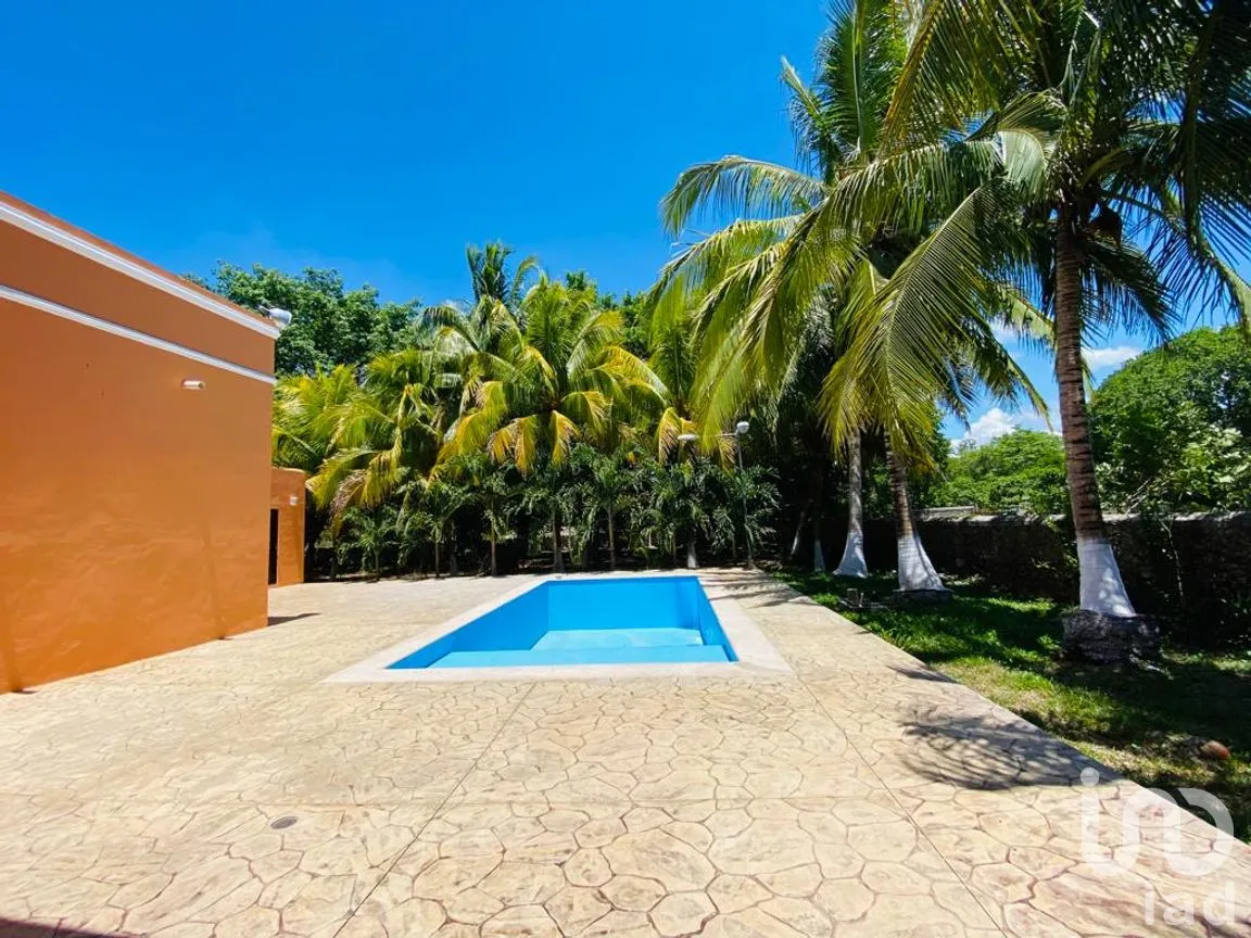 Rancho en Venta en Tizimin Centro, Tizimín, Yucatán | NEX-176305 | iad México | Foto 14 de 32