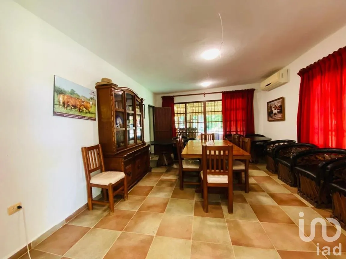 Rancho en Venta en Tizimin Centro, Tizimín, Yucatán | NEX-176305 | iad México | Foto 4 de 32