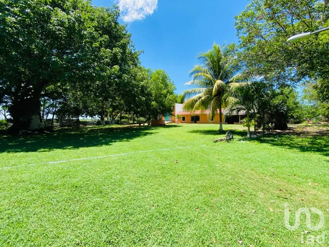 Rancho en Venta en Tizimin Centro, Tizimín, Yucatán | NEX-176305 | iad México | Foto 16 de 32