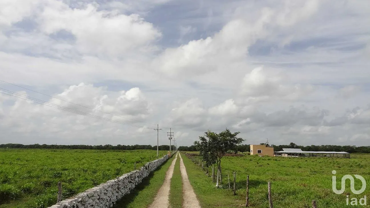 Rancho en Venta en Tizimin Centro, Tizimín, Yucatán | NEX-176305 | iad México | Foto 25 de 32