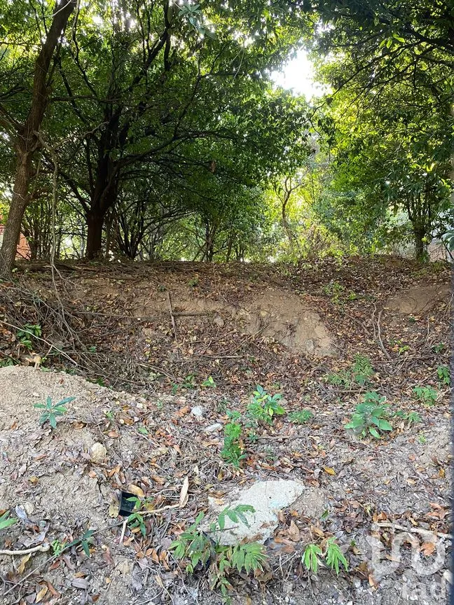 Terreno en Venta en Colinas del Sur, Tuxtla Gutiérrez, Chiapas | NEX-193821 | iad México | Foto 2 de 8