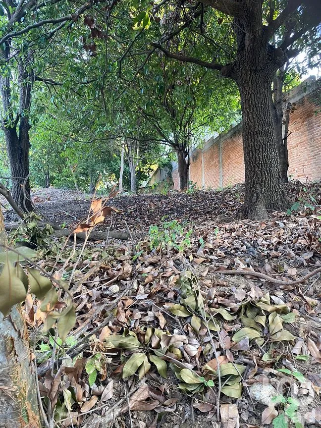 Terreno en Venta en Colinas del Sur, Tuxtla Gutiérrez, Chiapas | NEX-193821 | iad México | Foto 7 de 8