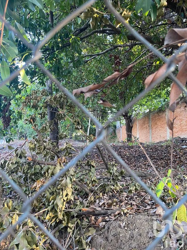 Terreno en Venta en Colinas del Sur, Tuxtla Gutiérrez, Chiapas | NEX-193821 | iad México | Foto 8 de 8