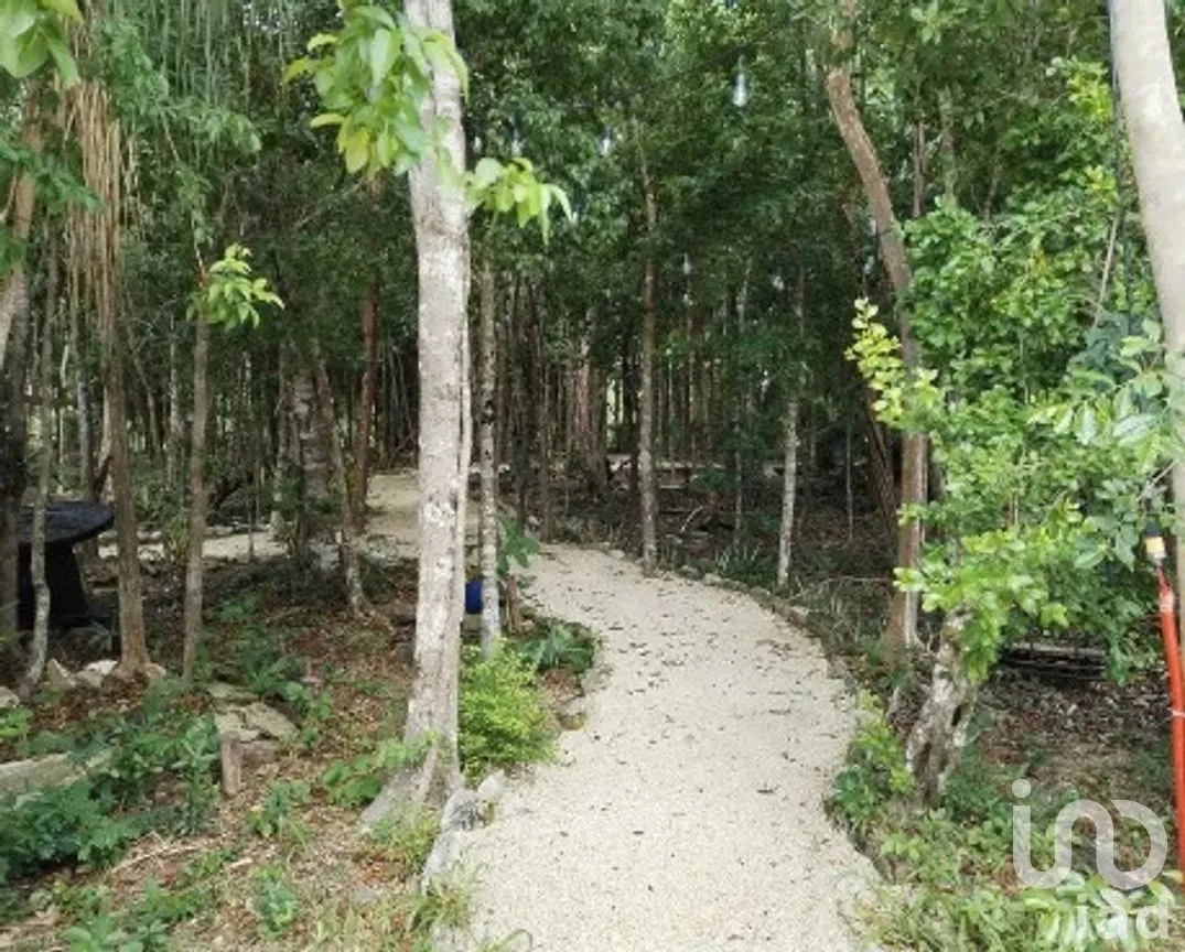 Terreno en Venta en Puerto Morelos, Puerto Morelos, Quintana Roo | NEX-241781 | iad México | Foto 7 de 14