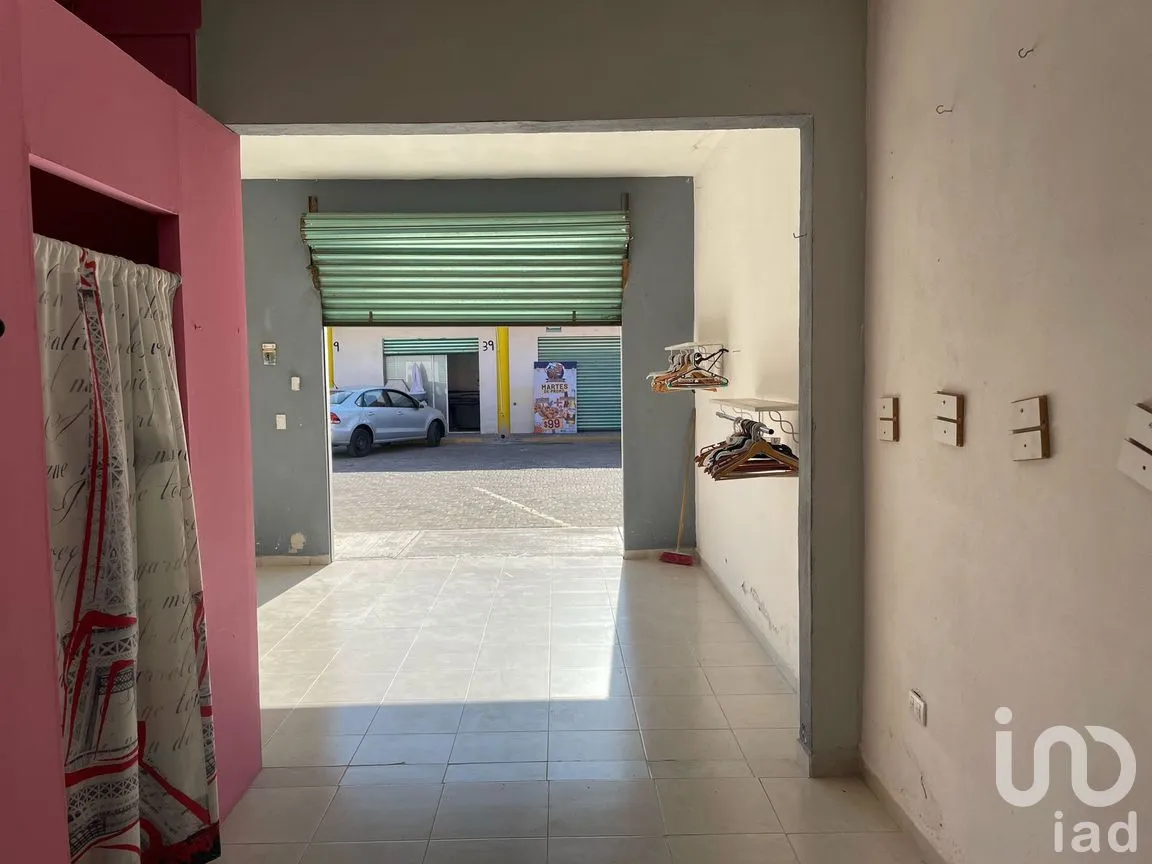 Local en Venta en Bello Horizonte, Puebla, Puebla | NEX-250682 | iad México | Foto 5 de 8