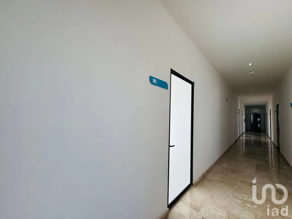 Oficina en Renta en Supermanzana 327, Benito Juárez, Quintana Roo | NEX-254287 | iad México | Foto 3 de 9