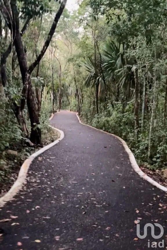 Departamento en Venta en Ciudad Mayakoba, Solidaridad, Quintana Roo | NEX-263266 | iad México | Foto 14 de 14