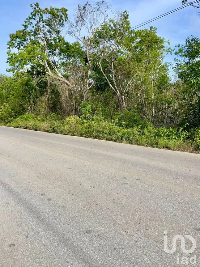 Terreno en Venta en Alfredo V Bonfil, Benito Juárez, Quintana Roo | NEX-286215 | iad México | Foto 3 de 10
