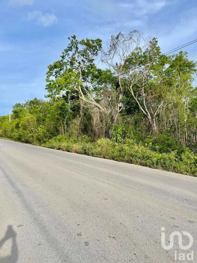 Terreno en Venta en Alfredo V Bonfil, Benito Juárez, Quintana Roo | NEX-286215 | iad México | Foto 4 de 10