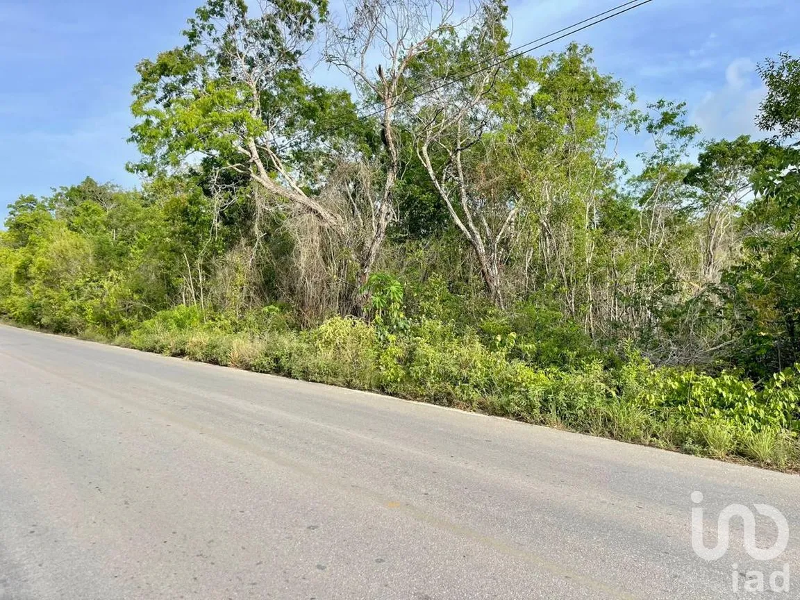Terreno en Venta en Alfredo V Bonfil, Benito Juárez, Quintana Roo | NEX-286215 | iad México | Foto 5 de 10