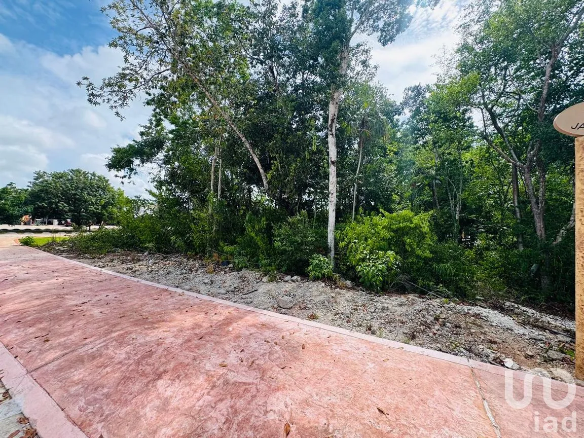 Terreno en Venta en Lagos del Sol, Benito Juárez, Quintana Roo | NEX-303027 | iad México | Foto 6 de 8